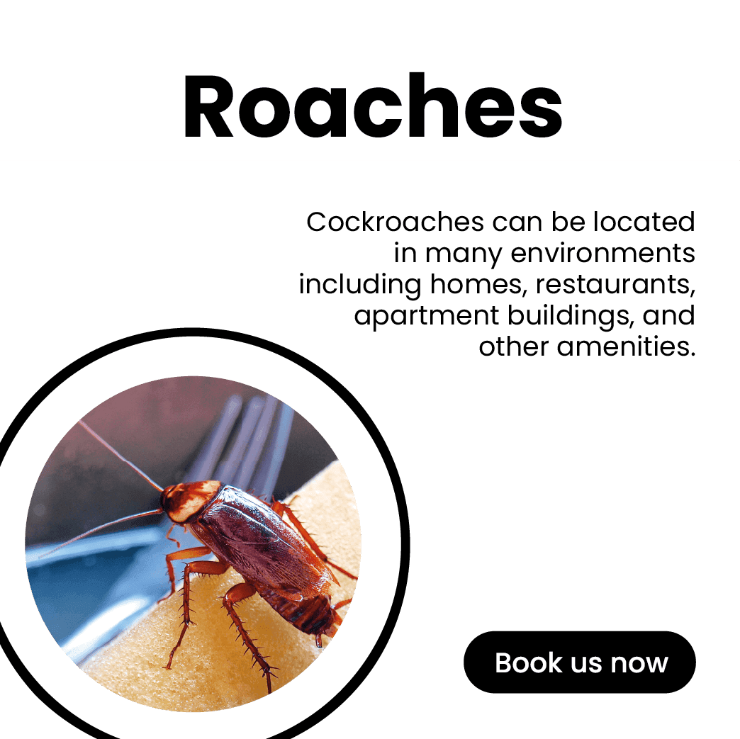 Get'm pest control Get'm pest control