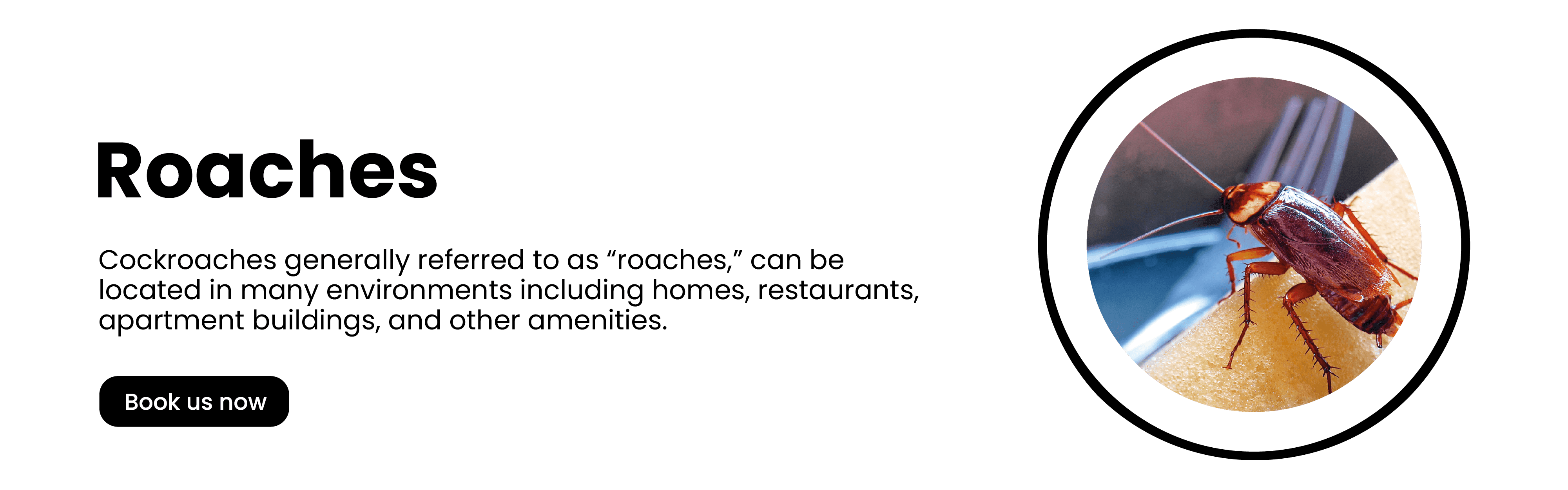 Get'm pest control Get'm pest control