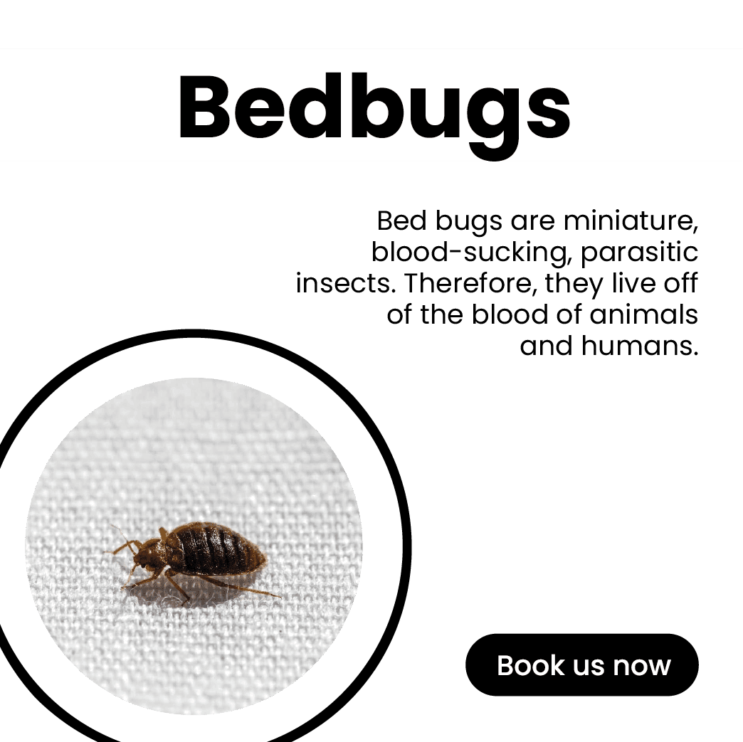 Get'm pest control Get'm pest control