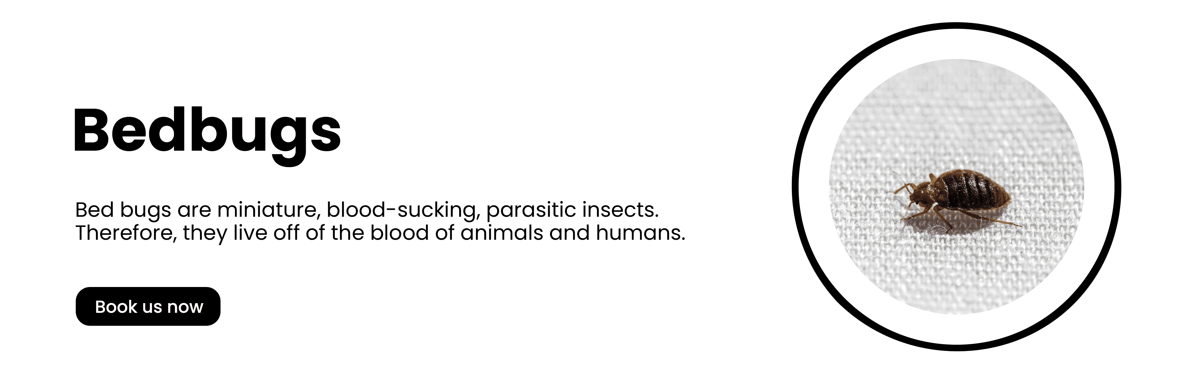 Get'm pest control Get'm pest control