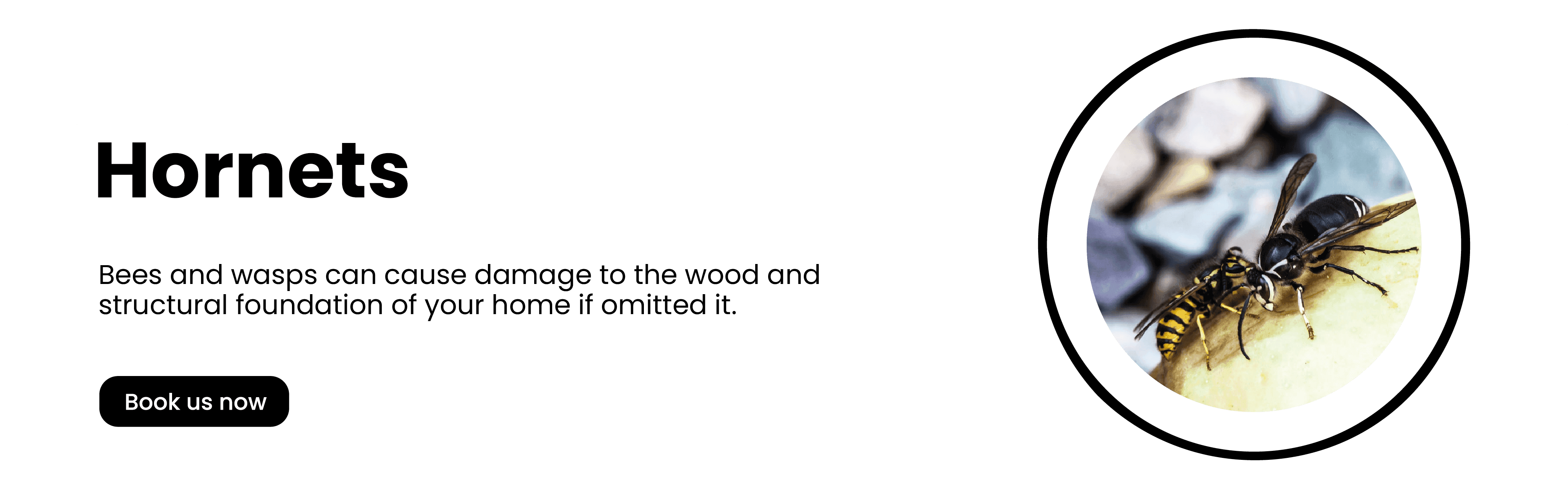 Get'm pest control Get'm pest control