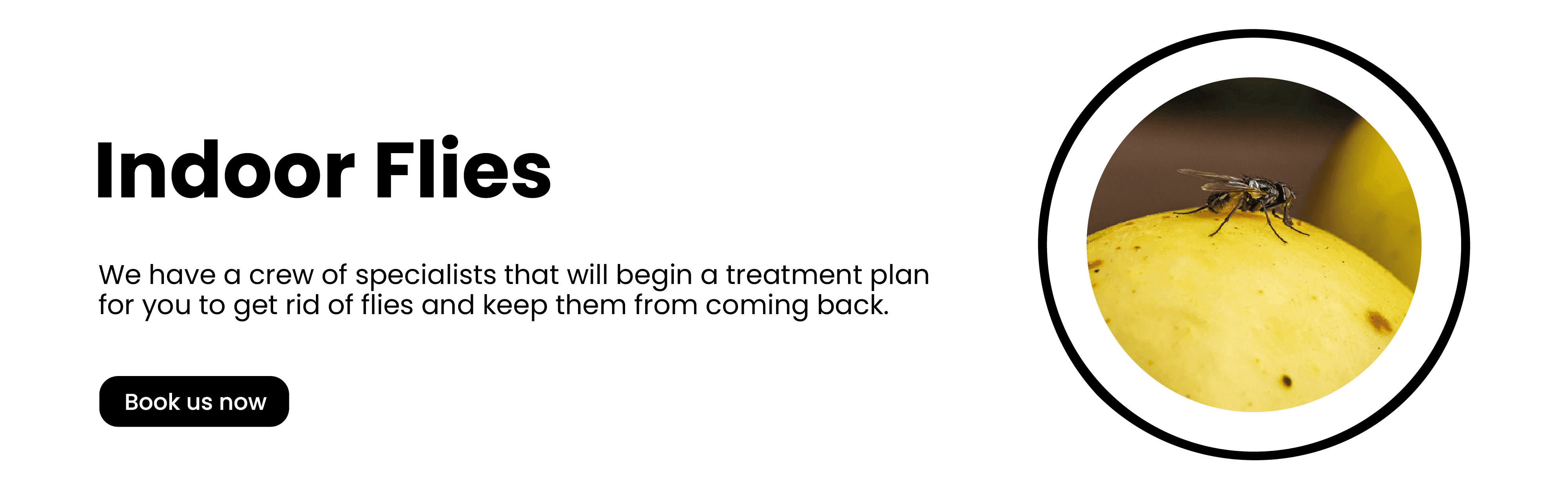 Get'm pest control Get'm pest control