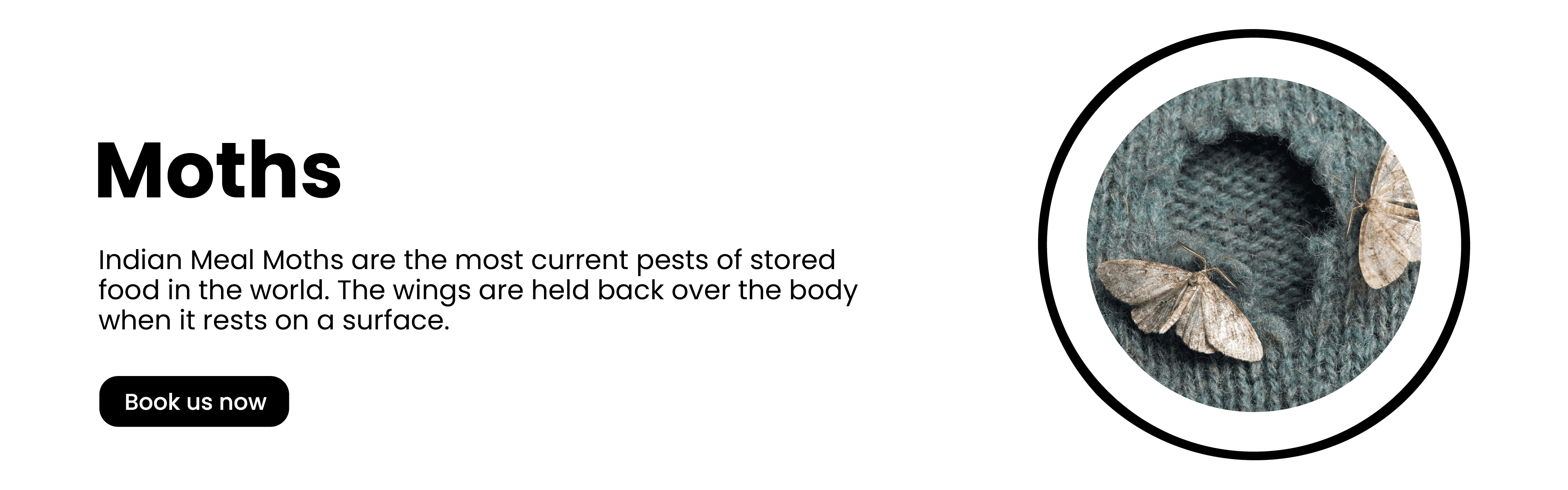 Get'm pest control Get'm pest control