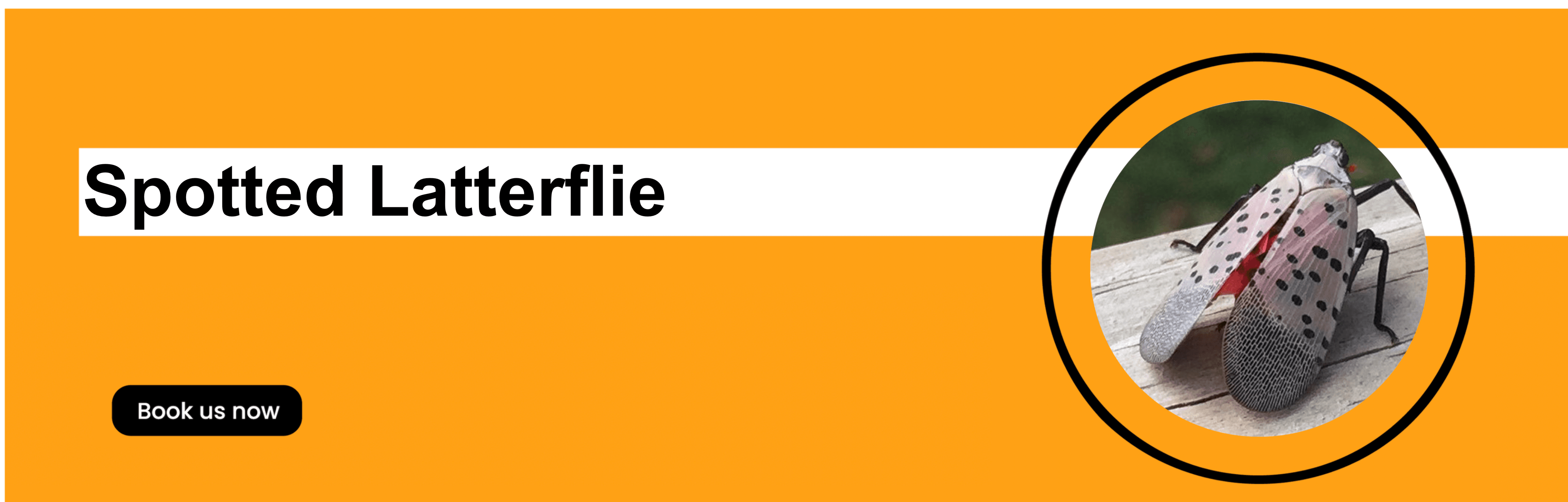 Get'm pest control Get'm pest control