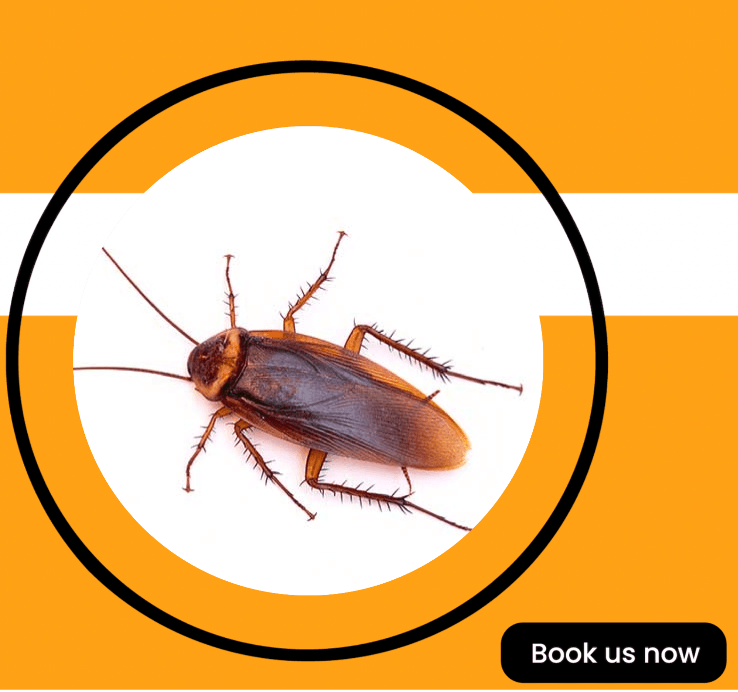 Get'm pest control Get'm pest control