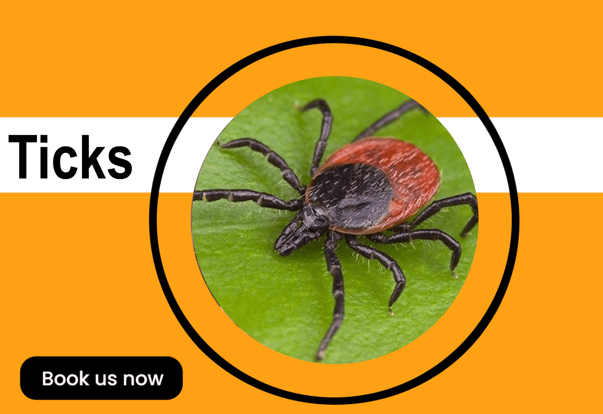 Get'm pest control Get'm pest control