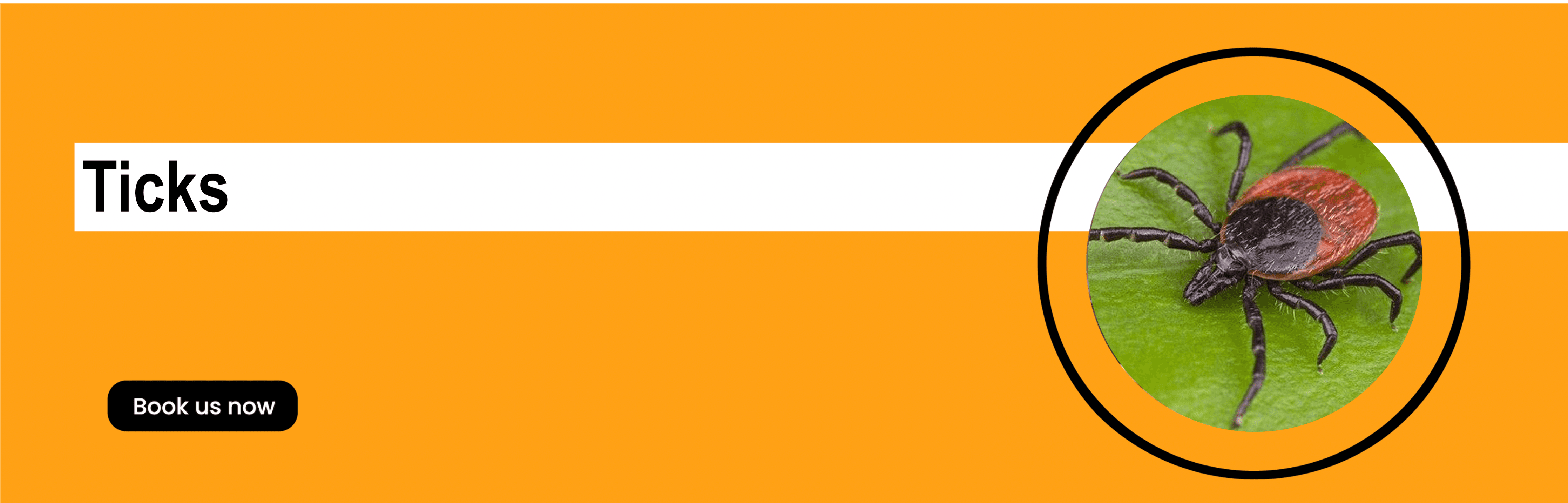 Get'm pest control Get'm pest control